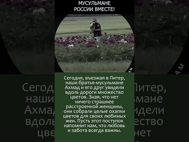 Братья-мусульмане собрали цветы на клумбе для своих жен, въезжая в Питер  #россия #новости #Аллах