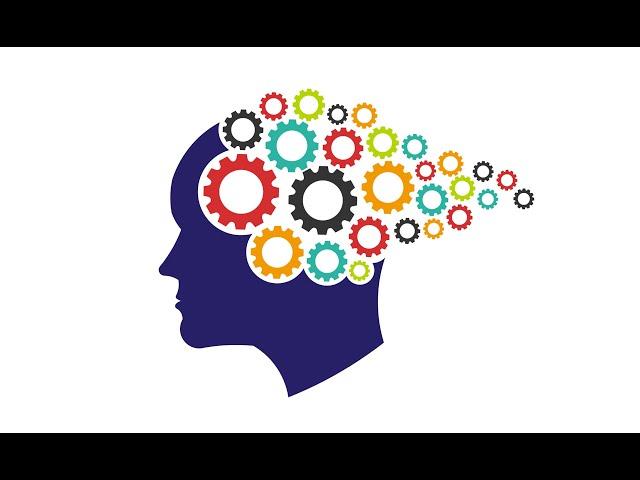 Memory Psychology Hacks: Strengthen and Improve Your Memory Course (Transformation Academy)