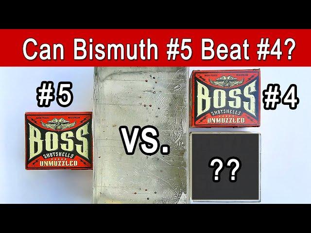 BOSS Bismuth #5 vs. #4 Ballistics Gel & Pattern Test