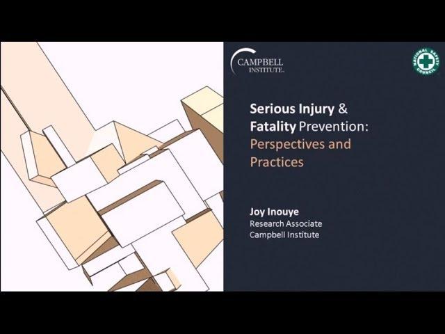 Serious Injury and Fatality Prevention:  Perspectives and Practices