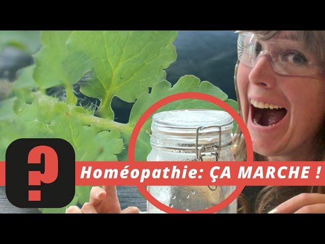  L'HOMÉOPATHIE, POURQUOI ÇA MARCHE • Fake? #8 • part.1