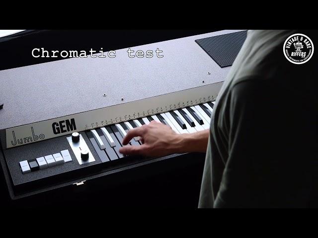 GEM Jumbo Combo Organ | Vintage Analog Italian Synth 37 Key | Riffers Brief Demo