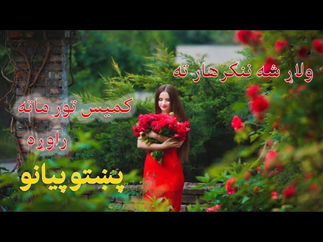 لاړشه ننګرهار ته کميس تور ماته راوړه/ پښتو پيانو په زړه پورې نغمې