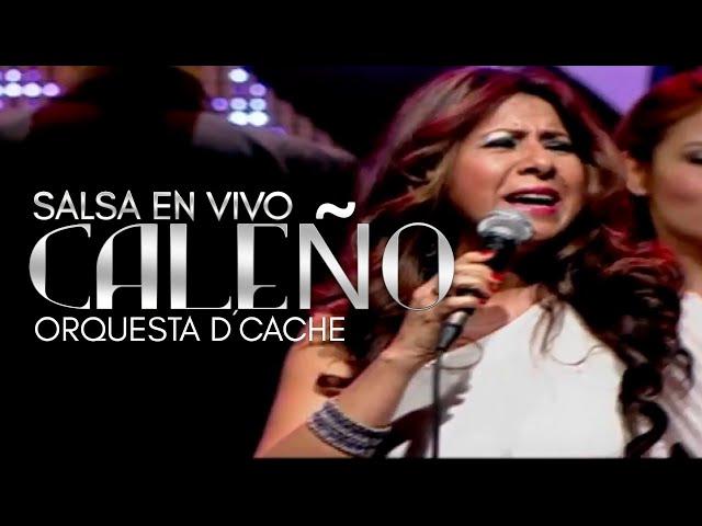 Francia Elena y Cali Salsa Big Band - Caleño | Salsa En Vivo