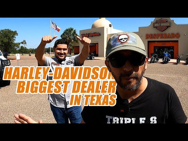 HARLEY DAVIDSON DESPERADO / THE BIGGEST DEALER IN TEXAS