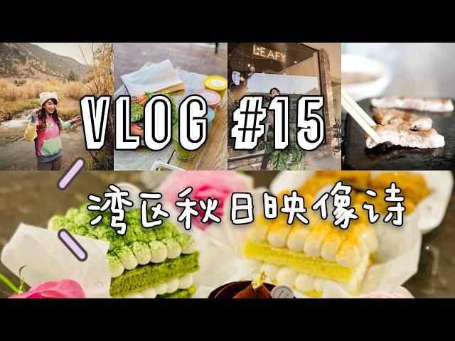 【VLOG #15】小紫的治愈时光 | Filoli花园的古董钢琴 | 遗世独立的仙境 | 银杏大道 | 感恩节礼物 | Diptyque走马灯蜡烛