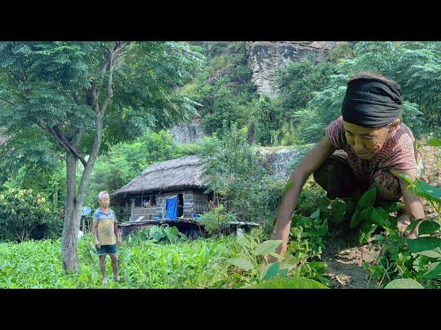 Unseen Farming Life in the East Nepal | Far from Civilization | BijayaLimbu