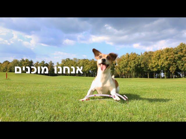 סרטון אנימציה שיווקי -סרטון פרסומת