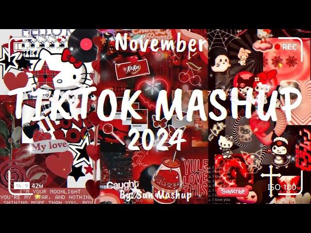 Tiktok Mashup November 2024 (Not Clean)