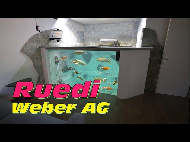 Ruedi‘s 20000 Liter Indoor Koi Teich mit traumhaft schönen Design und perfektem Filter Setup!