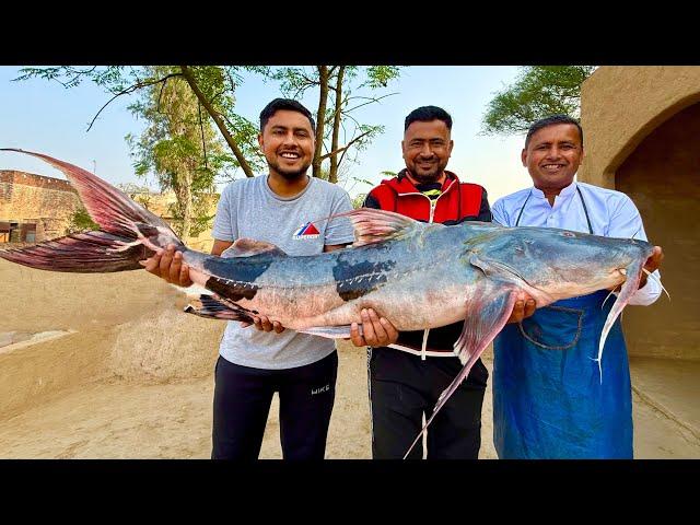 68 Pounds Big Catfish | Huge Fish Cutting and Cooking | Giant Catfish Fry | Village Food Secrets