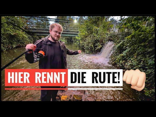 Beißen an diesem WASSERFALL die KARPFEN (UNGLAUBLICHES ERGEBNIS!)? GREWALD unterwegs