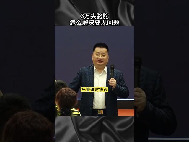 6万头骆驼怎么解决变现问题