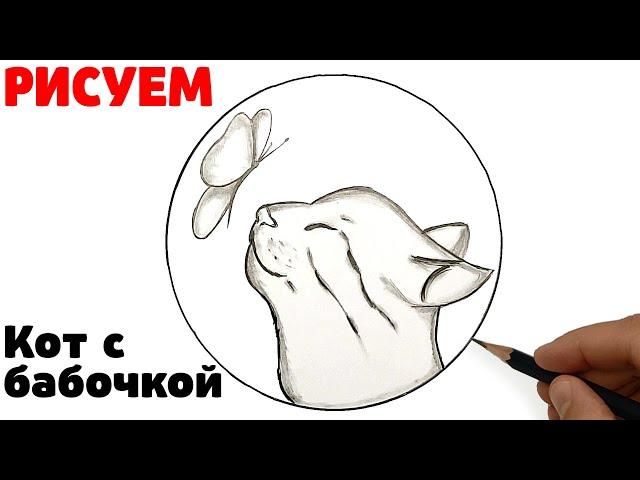 Pencil sketch | How to draw a Cat with a Butterfly | Yulka's drawings for sketchbook