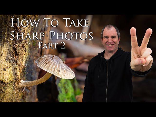 How To Take Sharp Photos - Part 2 The Reciprocal Rule