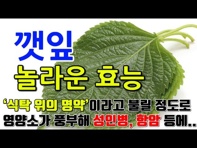 깻잎의 놀라운 효능 8가지 & 부작용 / "비타민과 미네랄이 가득한 깻잎의 매력"