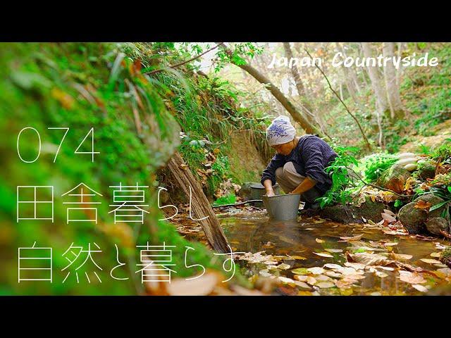 【佐渡島で自給自足の田舎暮らし】イノシシ鍋で仲間とパーティー