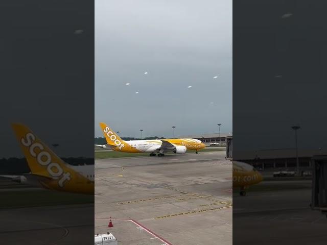 Scoot Airlines