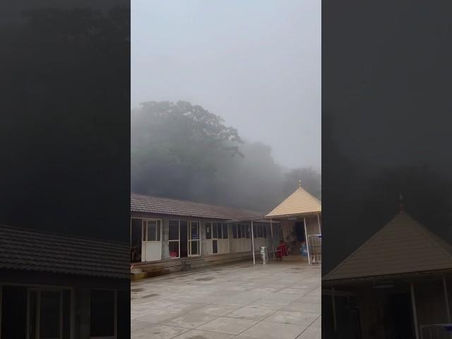 Beautiful Karnataka 🫶#monsoon #karnataka #coorg #nature