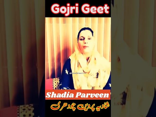 Shadia Parveen Choudhary ||Geet||Cuckoo ||#shorts||##youtubeshorts