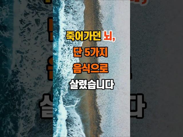 죽어가던 뇌, 단 5가지 음식으로 살렸습니다 #명언 #좋은글 #지혜 #인생조언