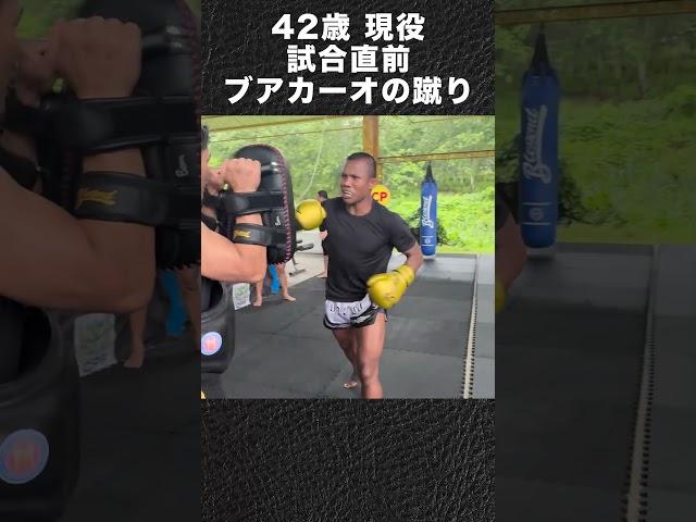 魔裟斗 タイでブアカーオの蹴りを受ける。#魔裟斗 #キックボクシング #muaythai #buakaw #shorts