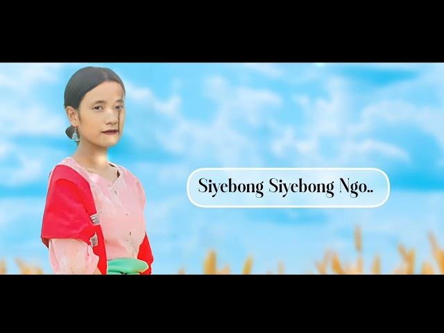 SIYEBONG SIYEBONG//TARA PEGU//(OFFICIAL LYRICAL VIDEO SONG) 2024