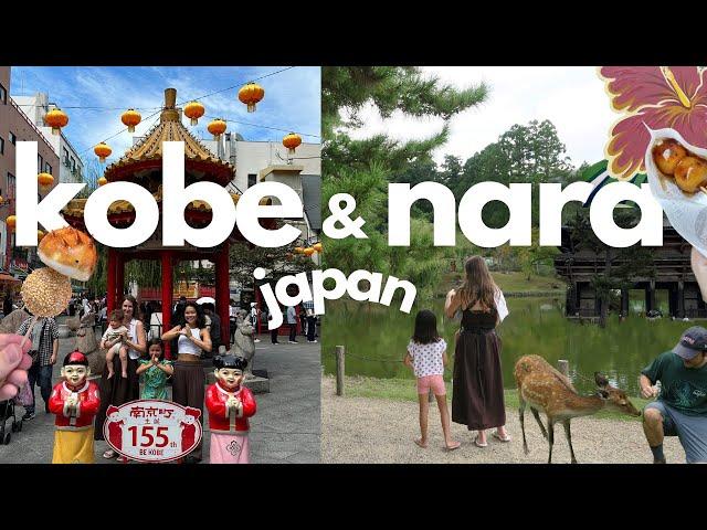 Nara & Kobe vlog  2 day itinerary, cafes, deer, summer in japan, chinatown, japan with kids