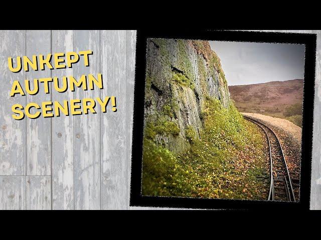 Adding model railway woodland scenery along the trackside