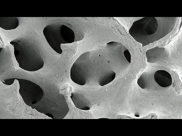 Creating Bones From Glue | Bang Goes The Theory | Earth Science