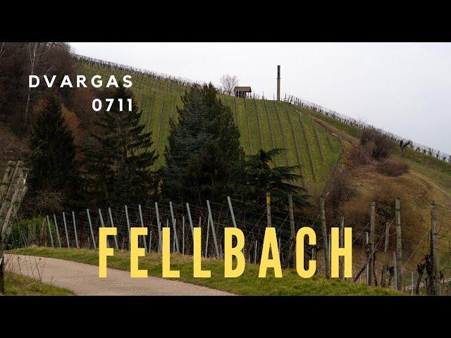 Stuttgart | Fellbach | Winter | March 2023