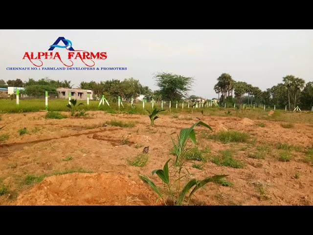 low budget farmland for sale in kanchipuram