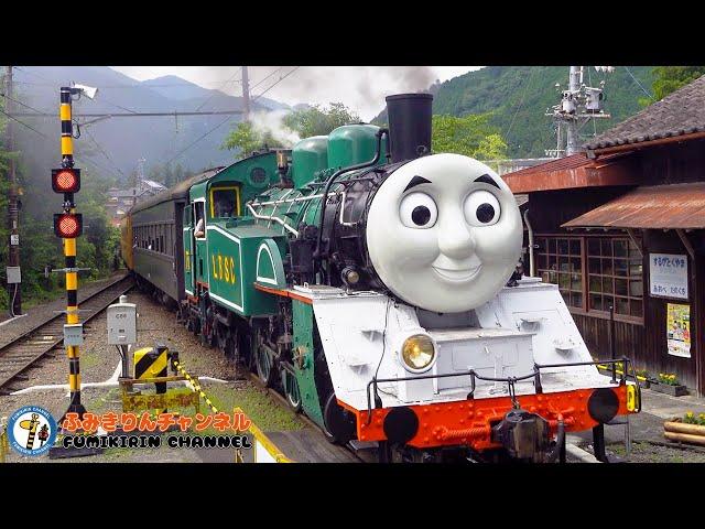 【Train】Railroad crossing movie62 Oigawa Railway Oigawa Main Line  DAY OUT WITH THOMAS in Japan