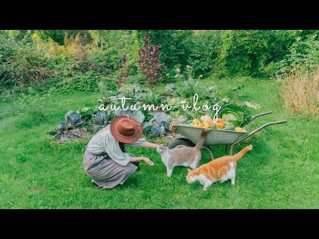 #160 October Autumn vlog: Harvest and Cooking Pumpkin, Weekend Trip, Halloween 