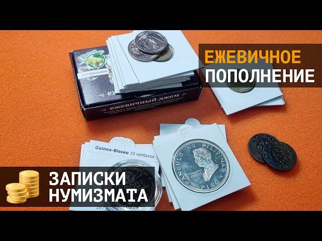 Ежевичное пополнение коллекции монет