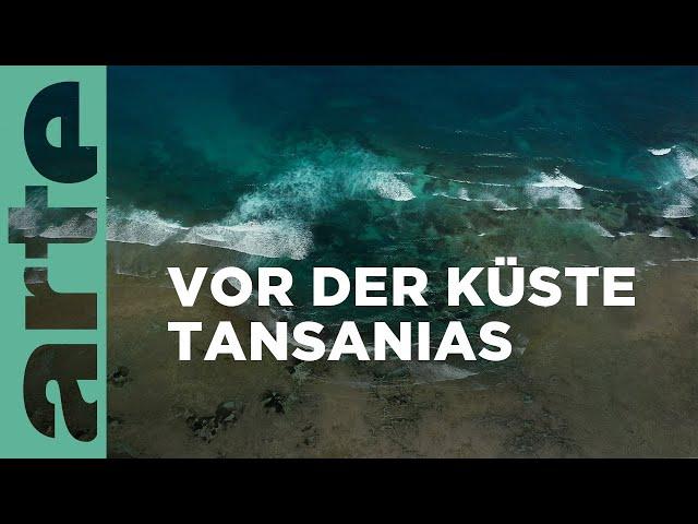 Die Bucht von Chwaka, Sansibar | Mal Meer, mal Land | ARTE Family