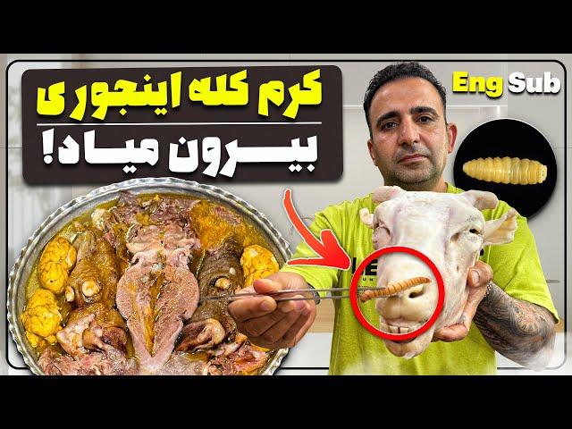 Secrets of Cooking Whole Sheep Head Scratching Nose Worms in Sheepکرم کله پاچه اینجوری بیرون میاد