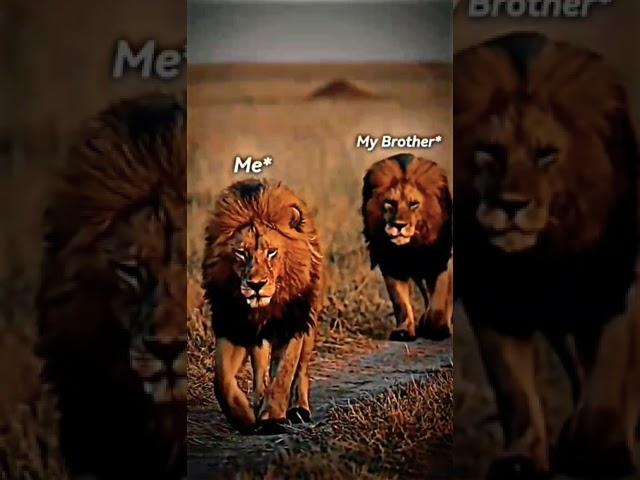 ME My brother