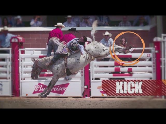 Calgary Stampede Rodeo 101: Bareback