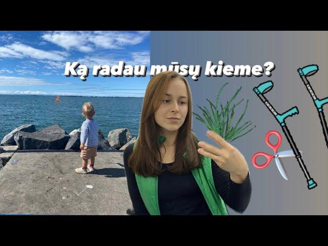 Diena/os su manimi! Ką radau kieme?