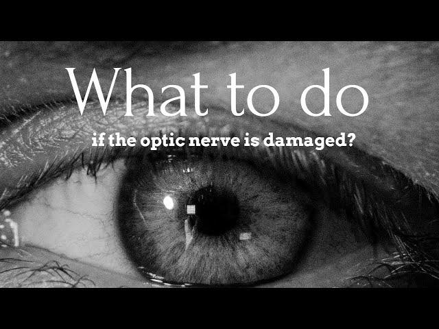 What to do if the optic nerve is damaged ?