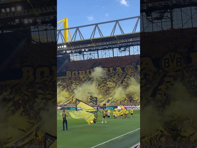 Borussia Dortmund - Eintracht Frankfurt | CHOREO / PYRO der Dortmunder! #BVBSGE 24.08.24