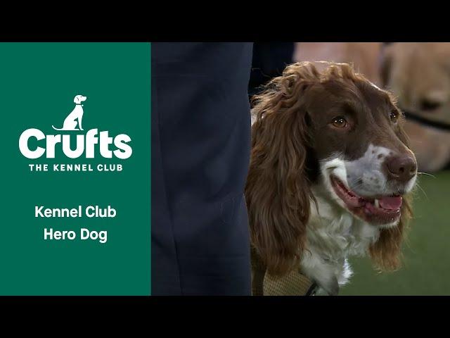 The Kennel Club Hero Dog | ​Crufts 2022