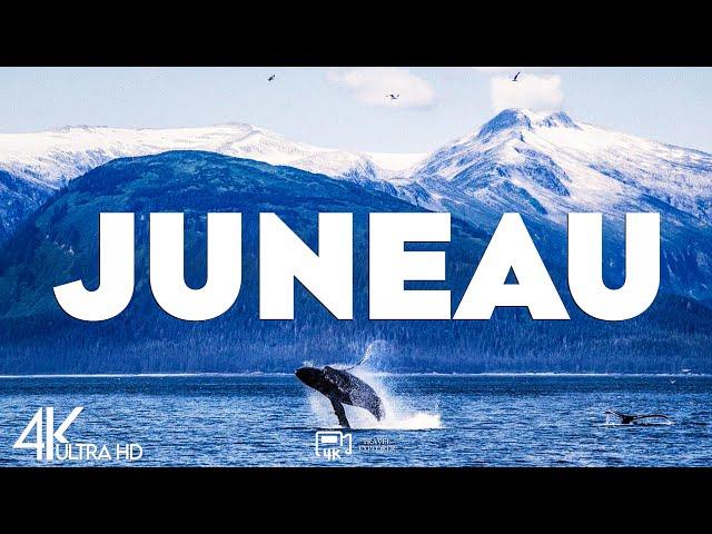 Top 10 Best Things To do in Juneau, Alaska [Juneau Travel Guide 2025]