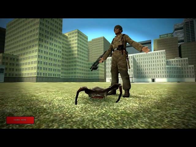 Gmod parakeets pill pack Review!