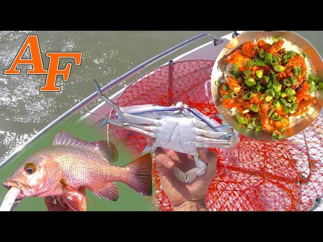 Chilli Lime Garlic Crab Catch n Cook with Tackle Club Fishing Challenge EP.459