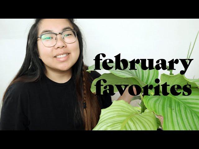 February Plant Favorites | Bee's House of Plants