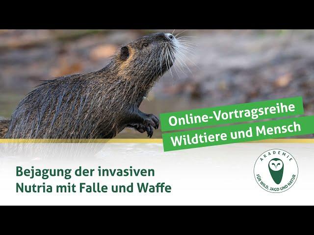 DJV-Online-Vortragsreihe „Wildtiere und Mensch“ | Nutriabejagung