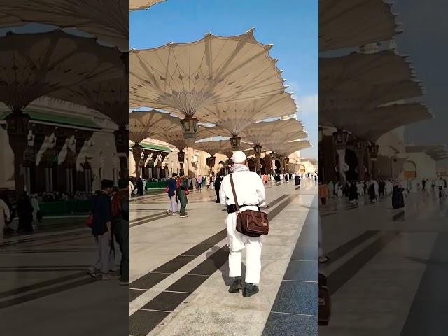 Qismat Meri chamkaye chamkaye Aaqa#trending #muhammadﷺ#subscribe #viral #subhanallah #trend #allahﷻ