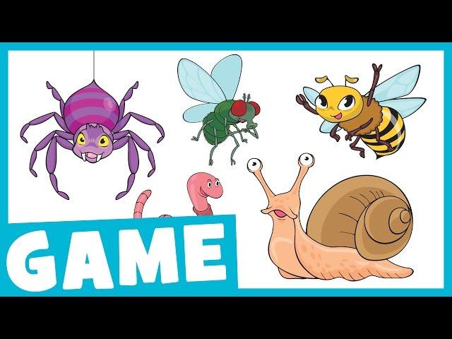 Learn Bugs for Kids | What Is It? Game for Kids | Maple Leaf Learning